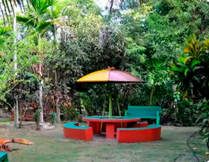 campaus image